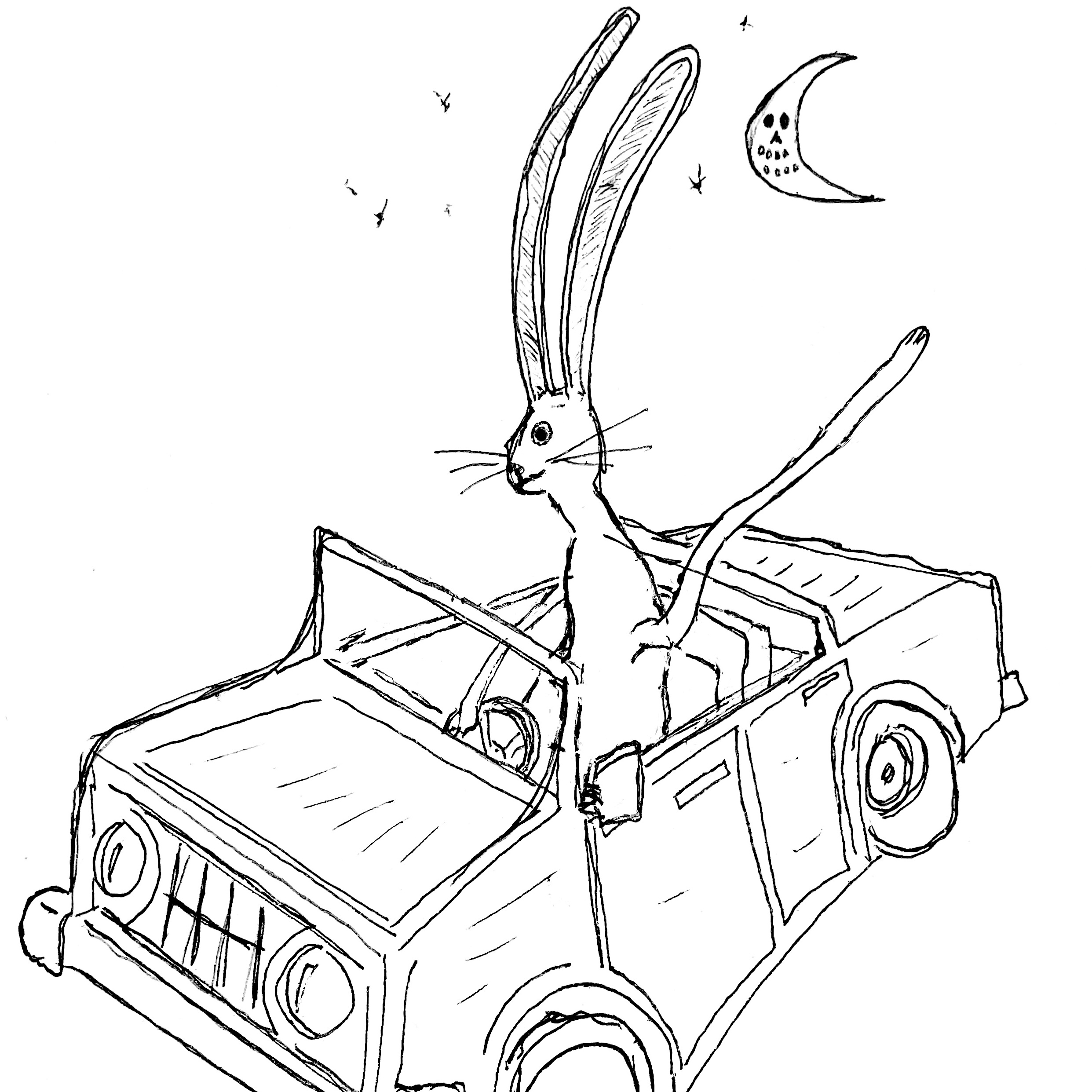 Photo of Miles Efron